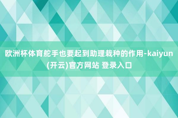 欧洲杯体育舵手也要起到助理栽种的作用-kaiyun(开云)官方网站 登录入口