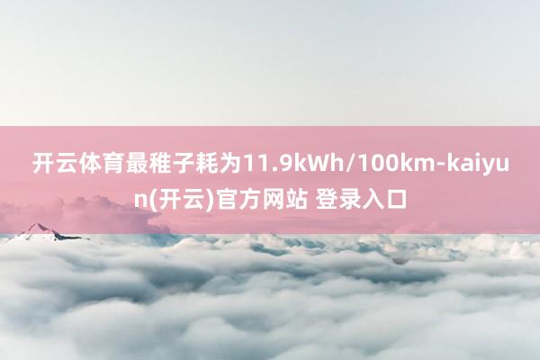 开云体育最稚子耗为11.9kWh/100km-kaiyun(开云)官方网站 登录入口