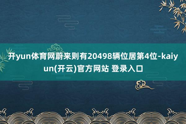 开yun体育网蔚来则有20498辆位居第4位-kaiyun(开云)官方网站 登录入口