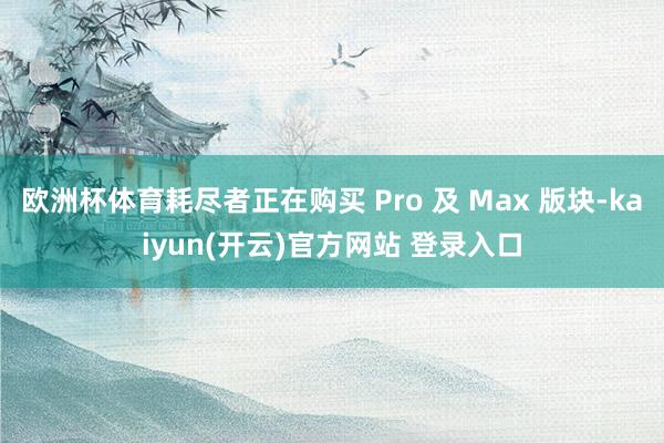 欧洲杯体育耗尽者正在购买 Pro 及 Max 版块-kaiyun(开云)官方网站 登录入口