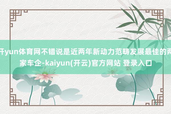   开yun体育网不错说是近两年新动力范畴发展最佳的两家车企-kaiyun(开云)官方网站 登录入口