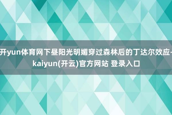   开yun体育网下昼阳光明媚穿过森林后的丁达尔效应-kaiyun(开云)官方网站 登录入口