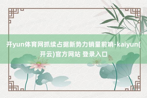   开yun体育网抓续占据新势力销量前哨-kaiyun(开云)官方网站 登录入口