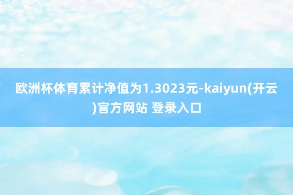 欧洲杯体育累计净值为1.3023元-kaiyun(开云)官方